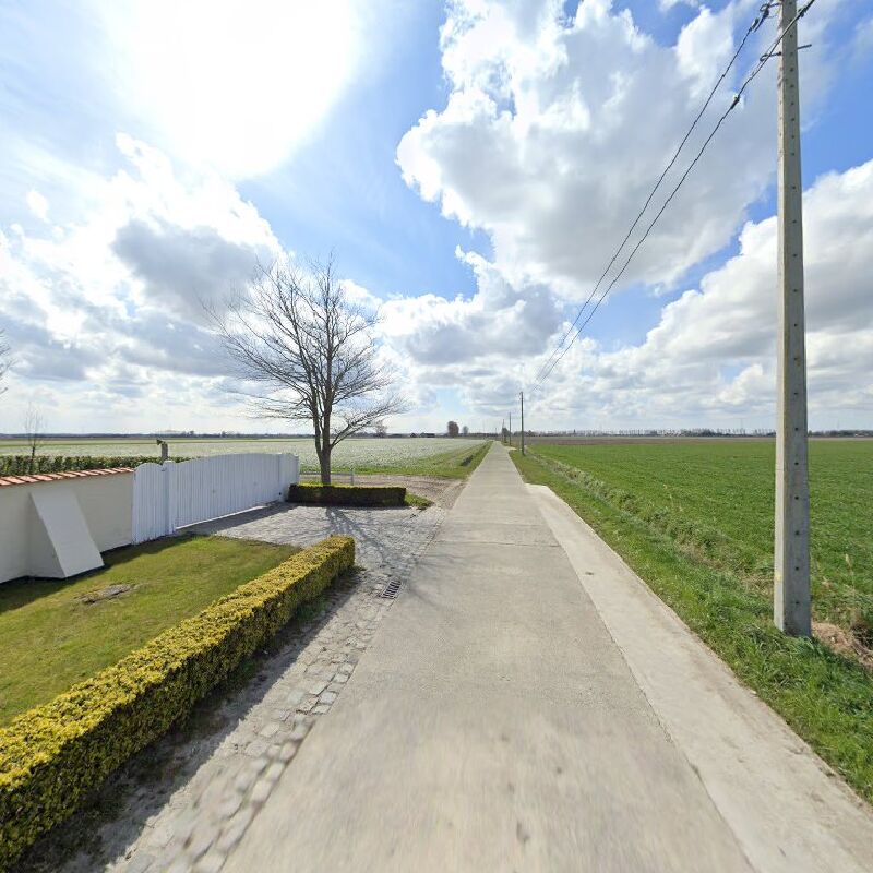 Foto van equistyle, Equitation