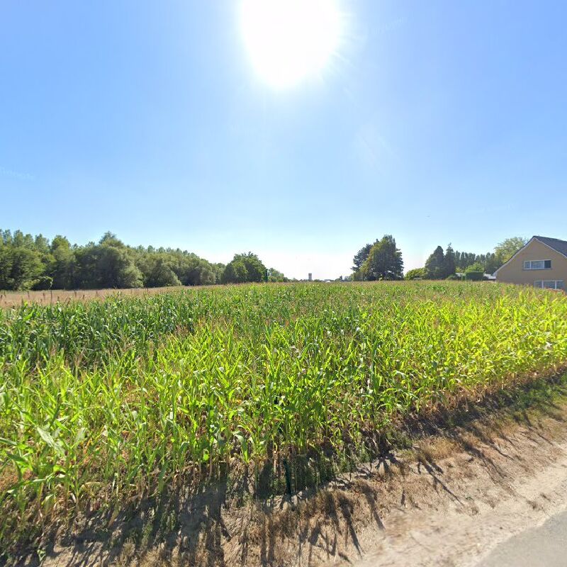 Foto van Bedrijfsimmo
