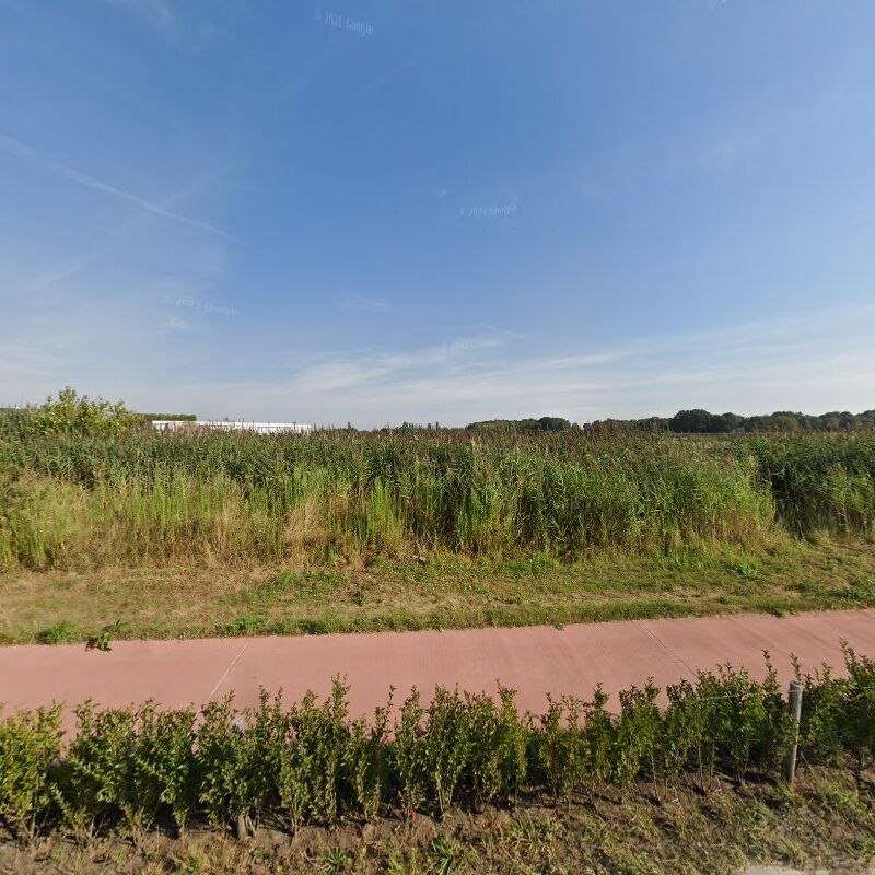 Foto van Green Rent