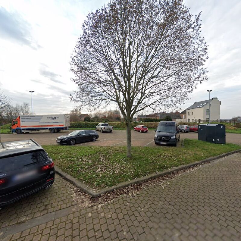 Foto van Carpool Rotselaar