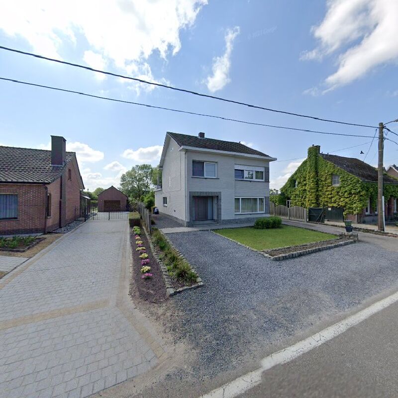 Foto van Schilderwerken léjonas