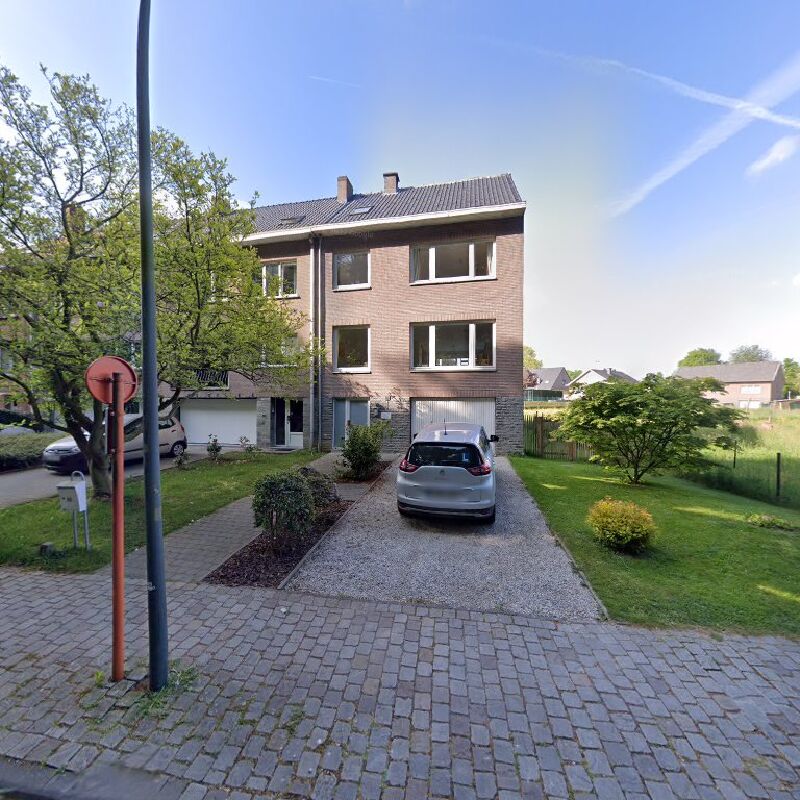 Foto van François LHOAS Ostéopathe D.O. & Kinésithérapeute Lic. à Wezembeek-Oppem