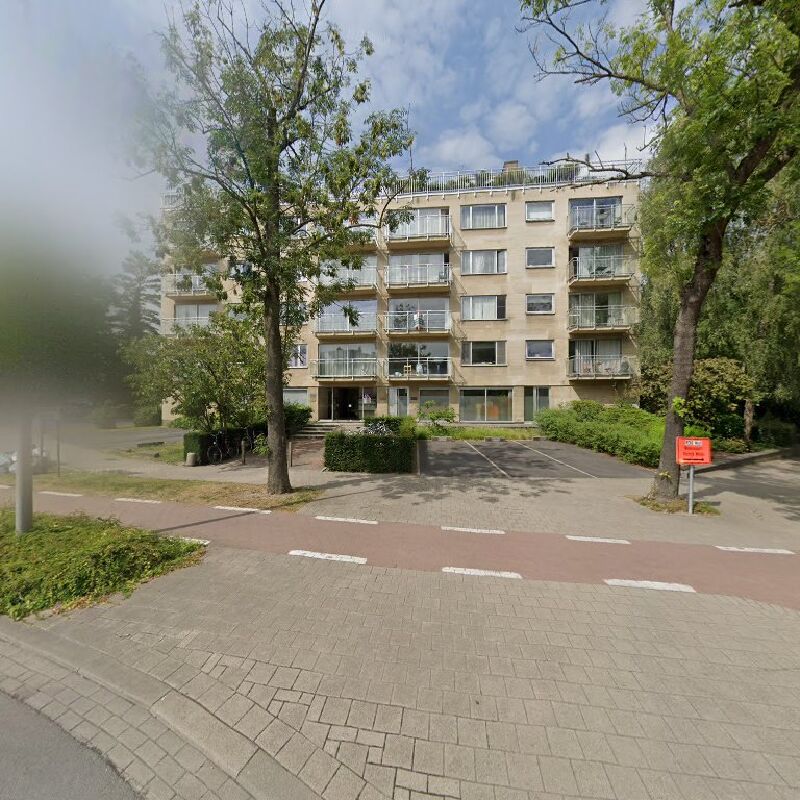 Foto van Veys Rikky