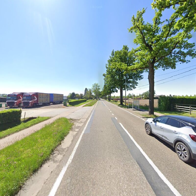 Foto van Rijkevorsel Rovana