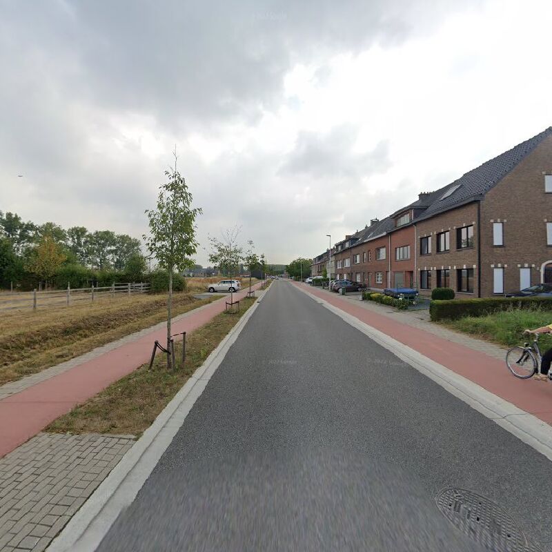 Foto van Schelle