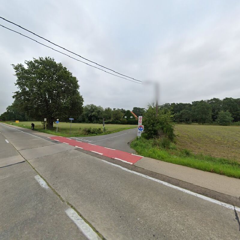 Foto van Meerhout Grees