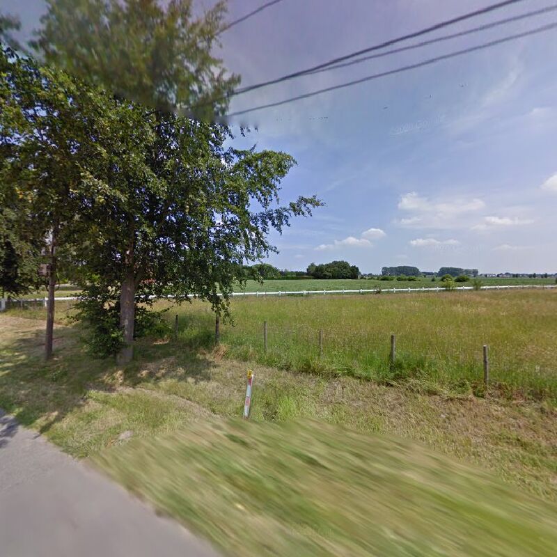 Foto van Vlaamse Ki-Dierenartsen-West CVBA