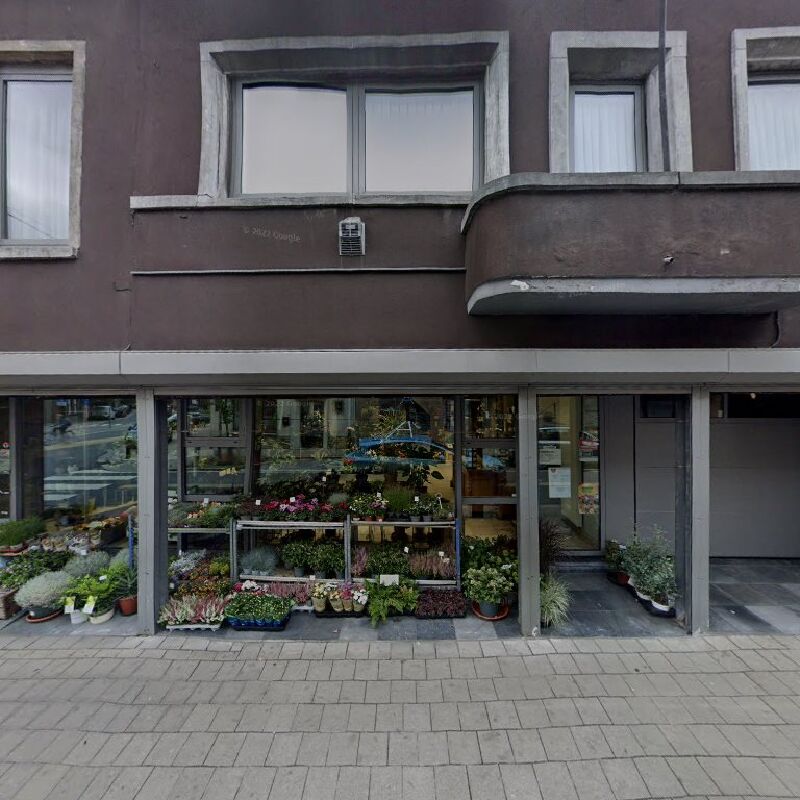 Foto van VanMijVoorJou