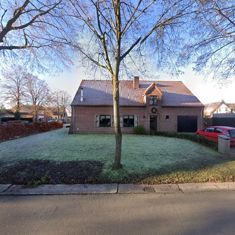 Foto van schilderwerken lapaige