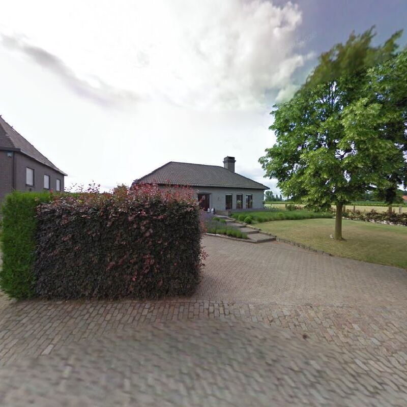 Foto van V.S.F. Parken en Tuinen Bvba