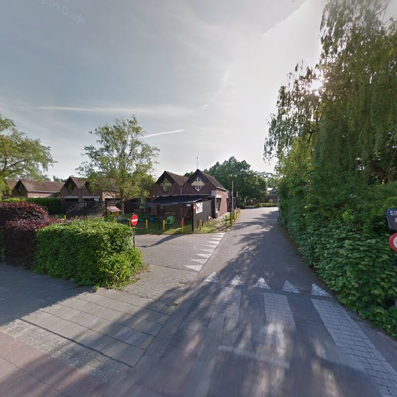 Foto van Sterrekadees