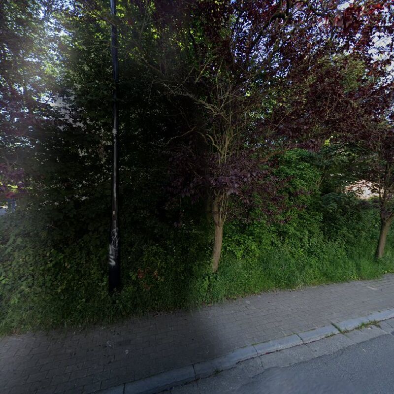 Foto van Speeltuin
