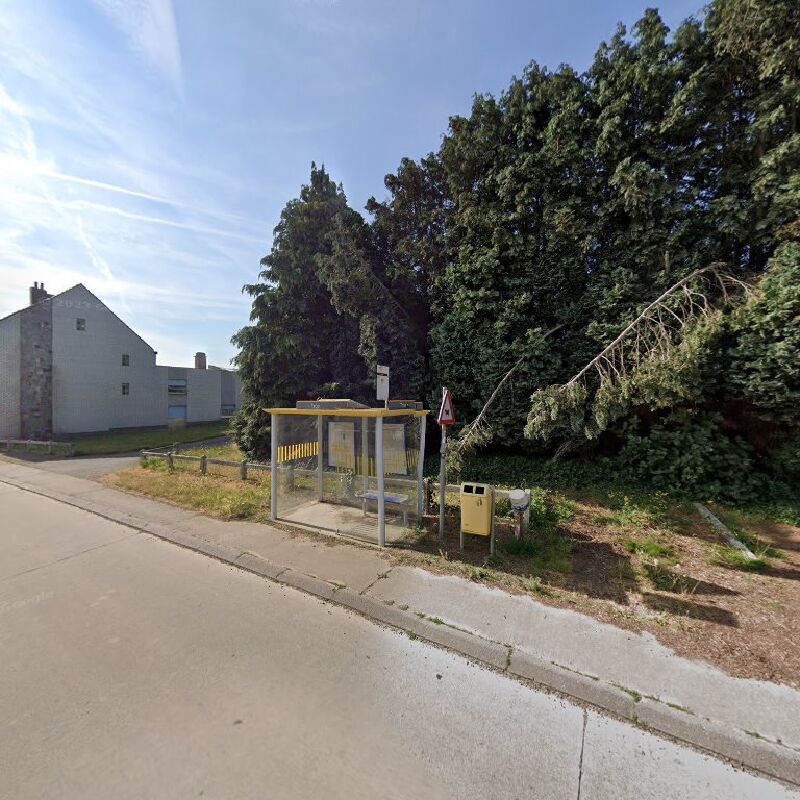 Foto van Pepingen Trop