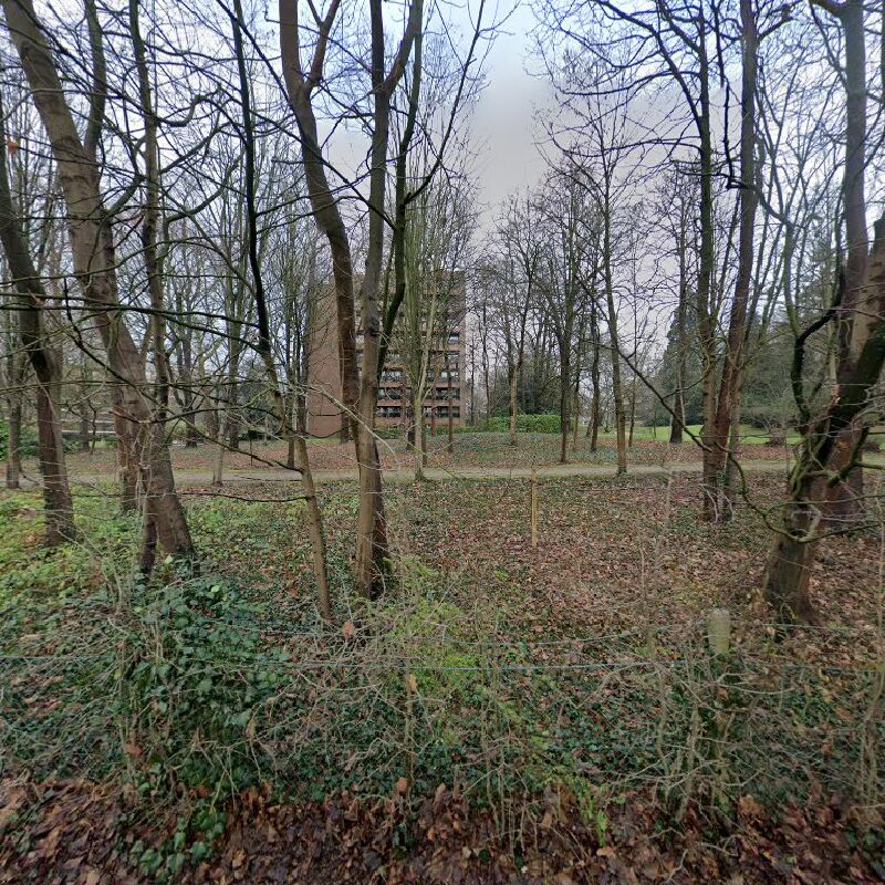 Foto van Brussels Piano Festival Asbl
