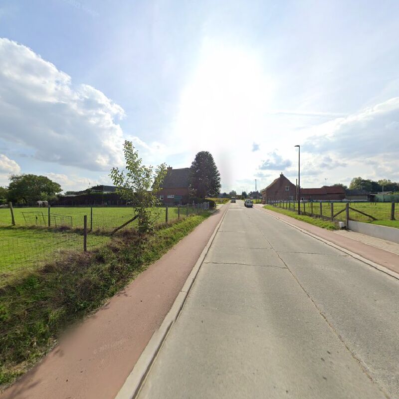 Foto van Sint-Kwintens-Lennik Hallebaan
