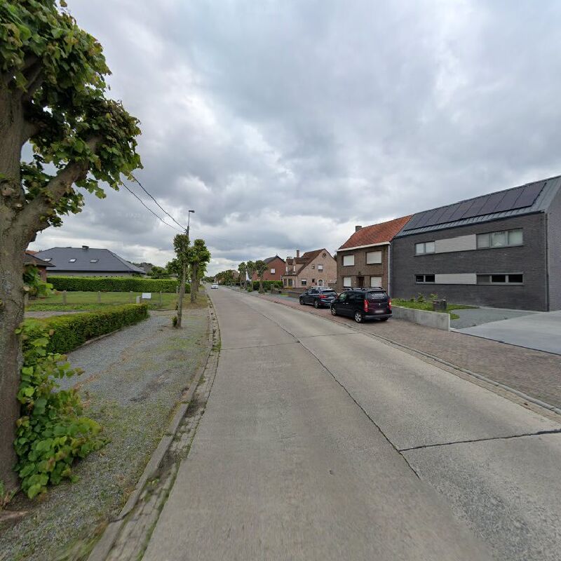 Foto van Cooreman / Rosemary