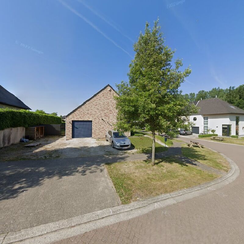 Foto van Aracor