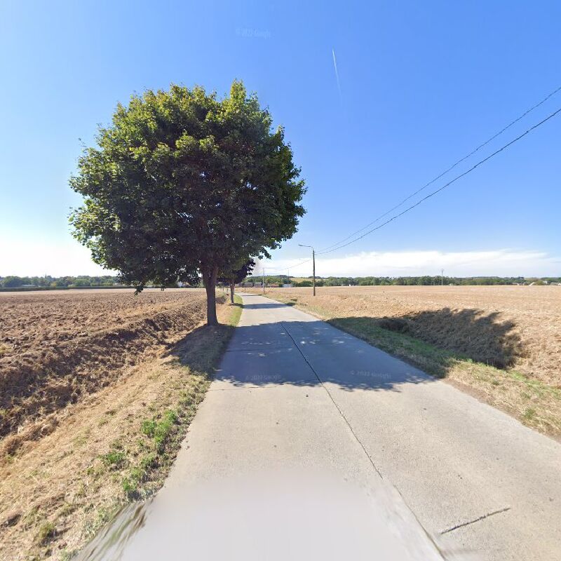 Foto van Pro Care Automobile