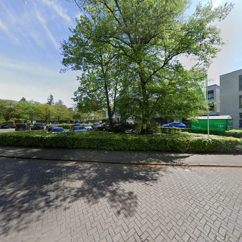 Foto van Domus Immobilen