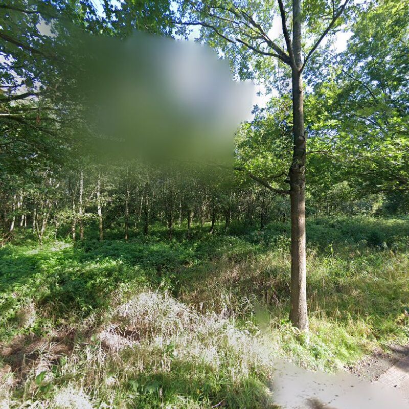 Foto van Speelbos Puyenbroeck