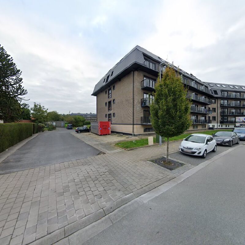 Foto van Scheldevleugel