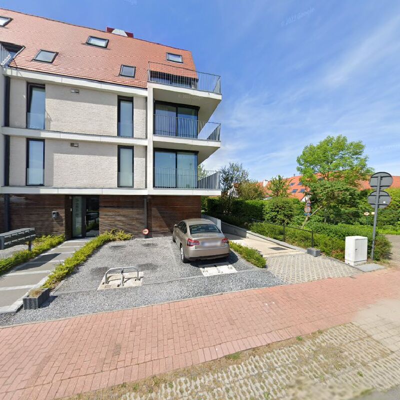 Foto van Aalscholver 4