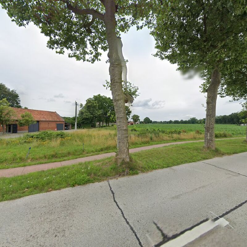 Foto van Meerhout Gebergte