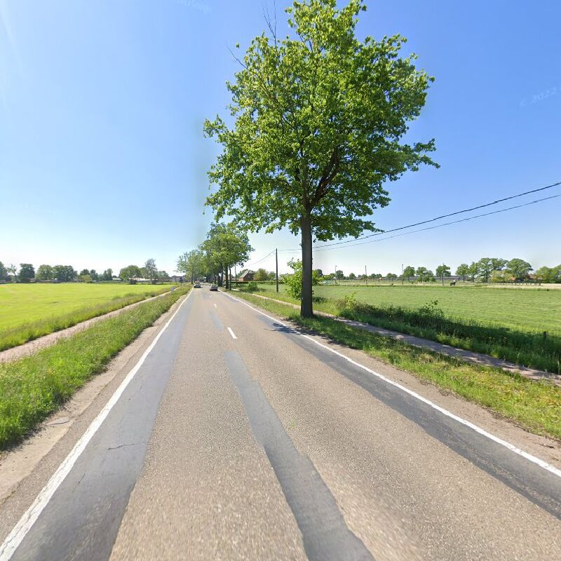 Foto van Rijkevorsel Angelicadreef