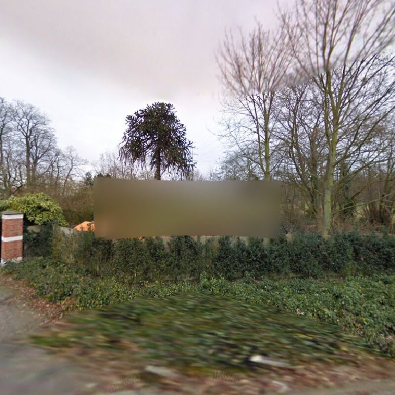 Foto van Immo Laarhof NV