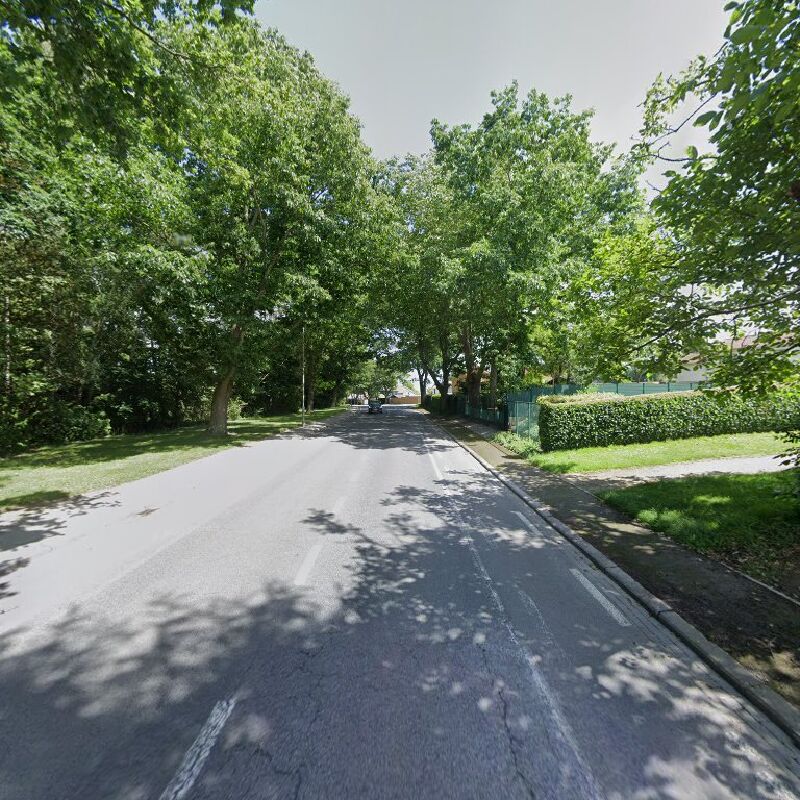 Foto van Sebastian Hoornaert