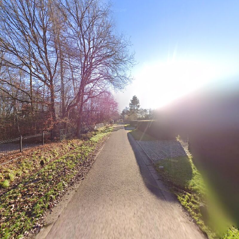 Foto van Dierenarts & paardentandarts Ines Laurent