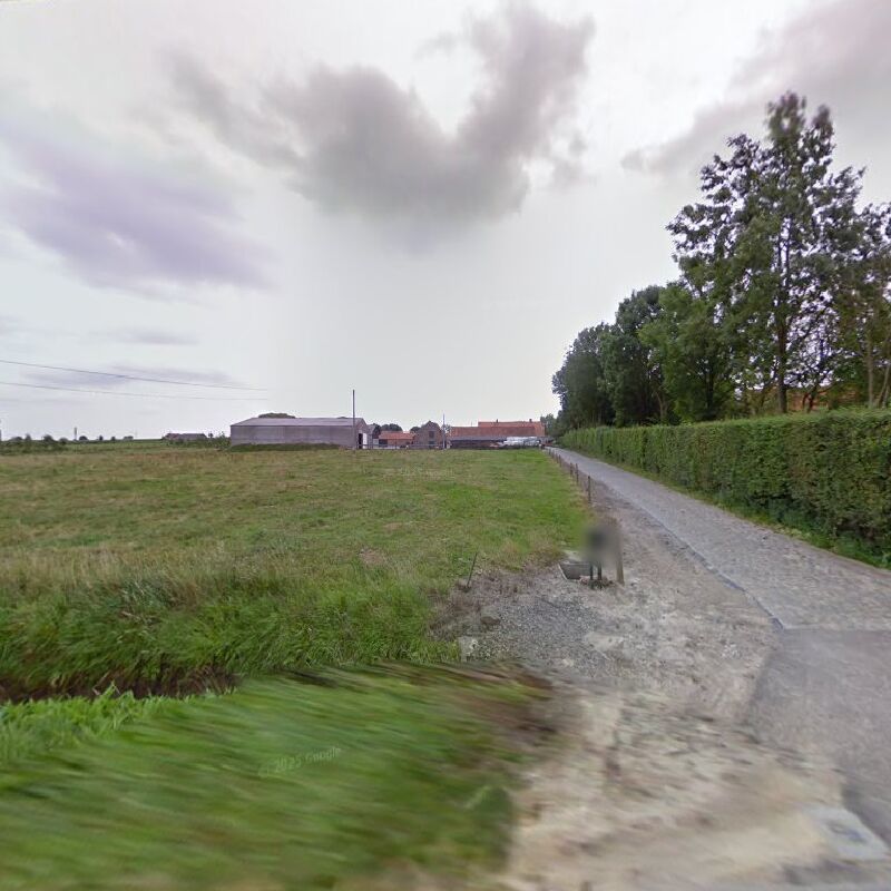 Foto van Immo Village