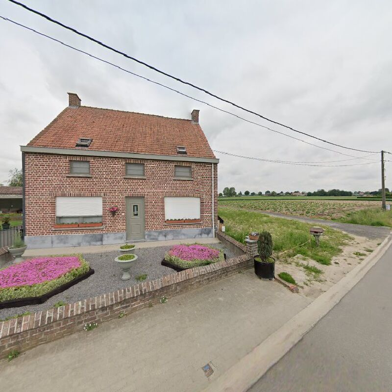 Foto van De Hoogvlieger
