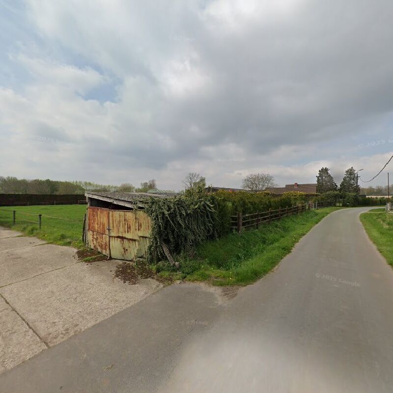 Foto van Edenhorse