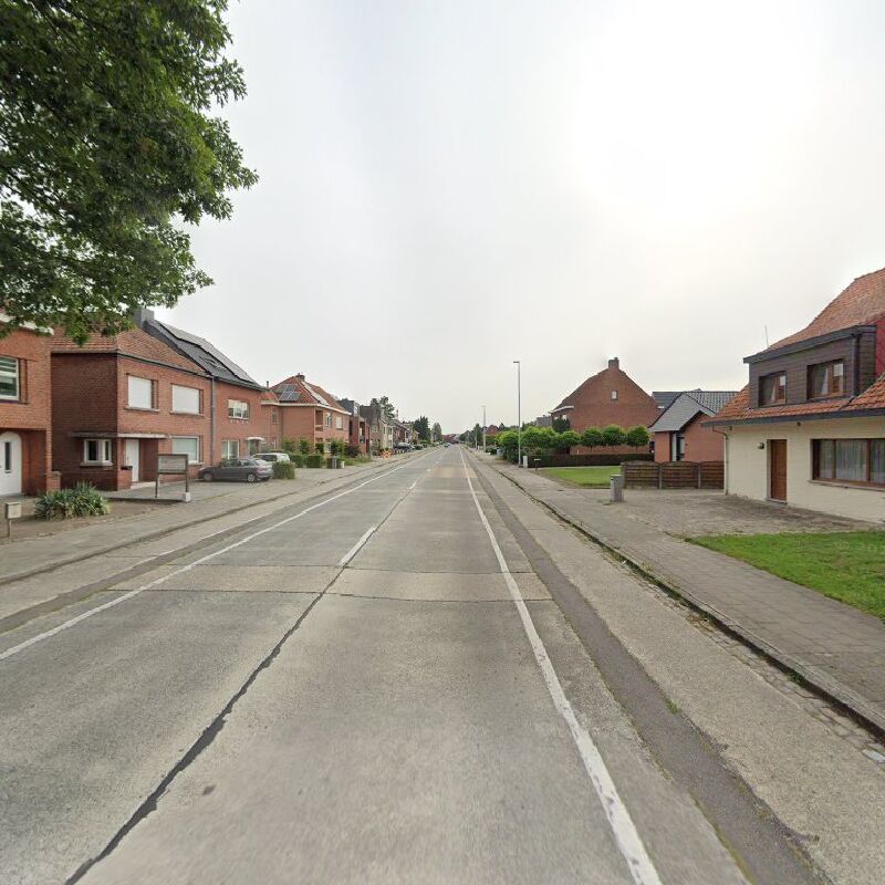 Foto van Media Mol